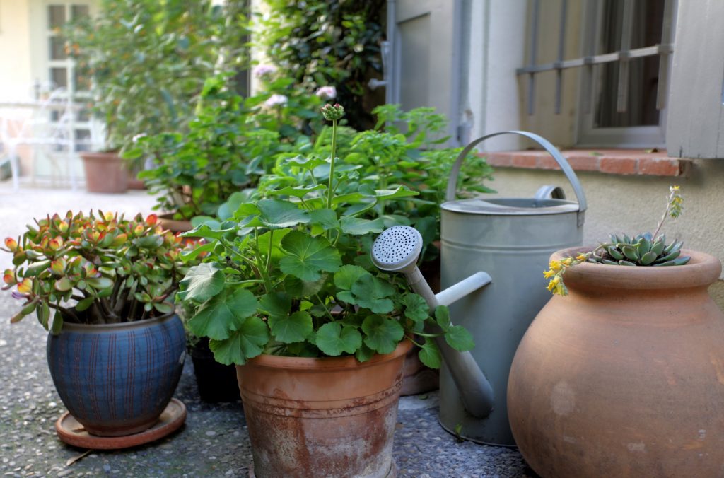 Maison du Bateau - Luxury apartment - courtyard